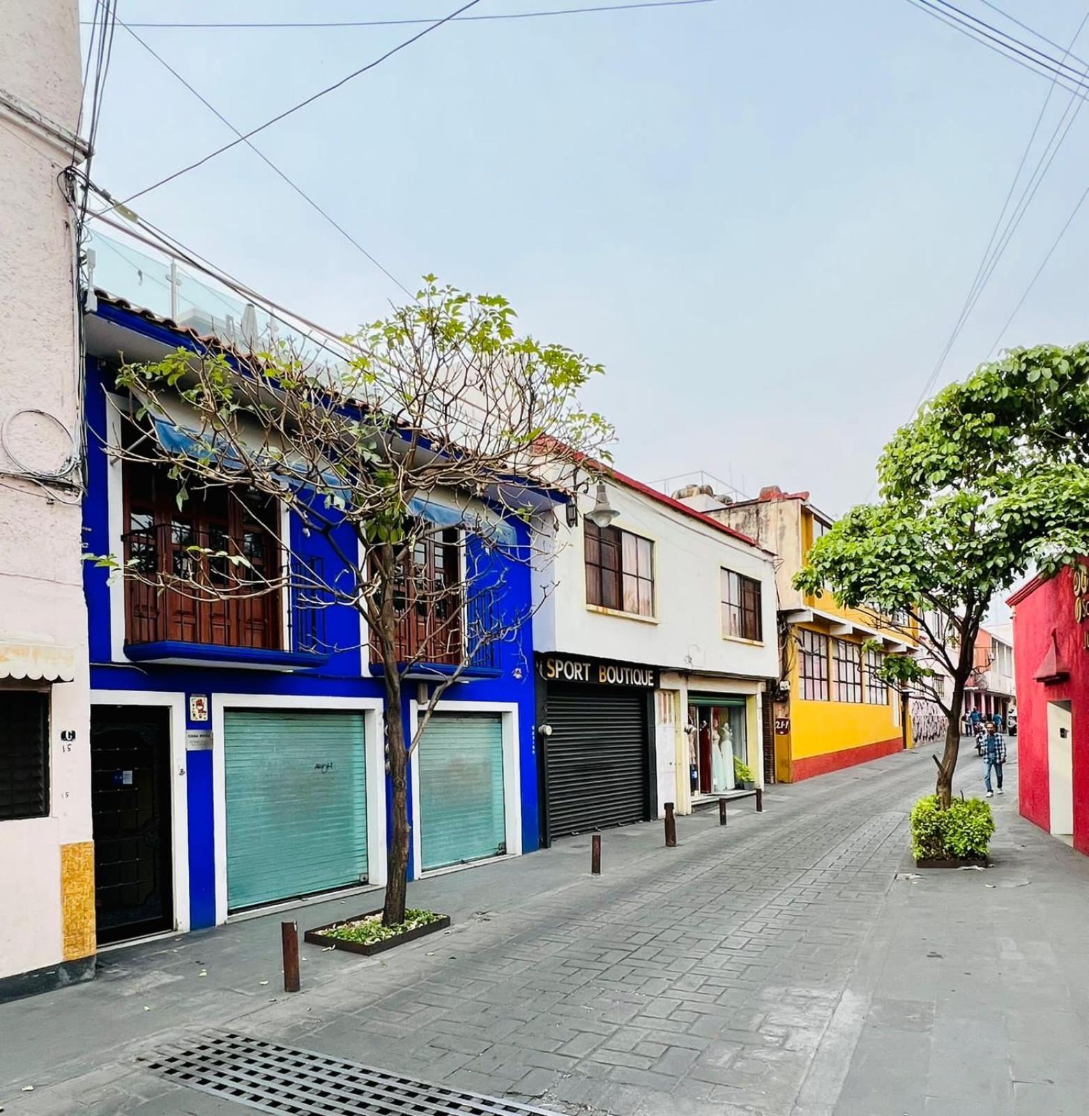 Hotel Casa Frida Cuernavaca Eksteriør billede